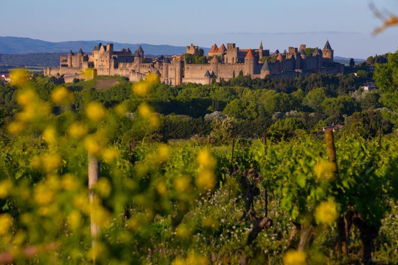 Tout Confort ! Calme, Climatisation, Vue Degagee, Ville ,Parking Gratuit, Ascenseur, Wifi Carcassonne Exterior foto