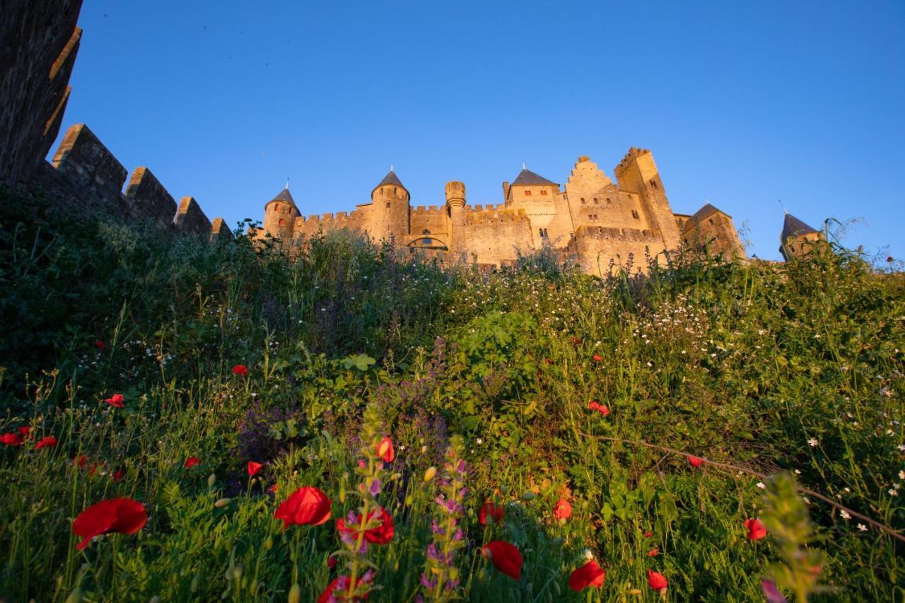 Tout Confort ! Calme, Climatisation, Vue Degagee, Ville ,Parking Gratuit, Ascenseur, Wifi Carcassonne Exterior foto